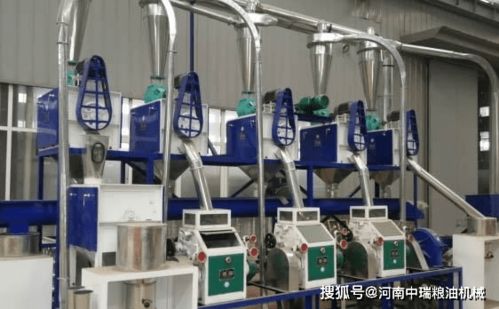高效生產，靈活加工 小中大型玉米面加工設備與柔性材料加工設備的技術與應用解析
